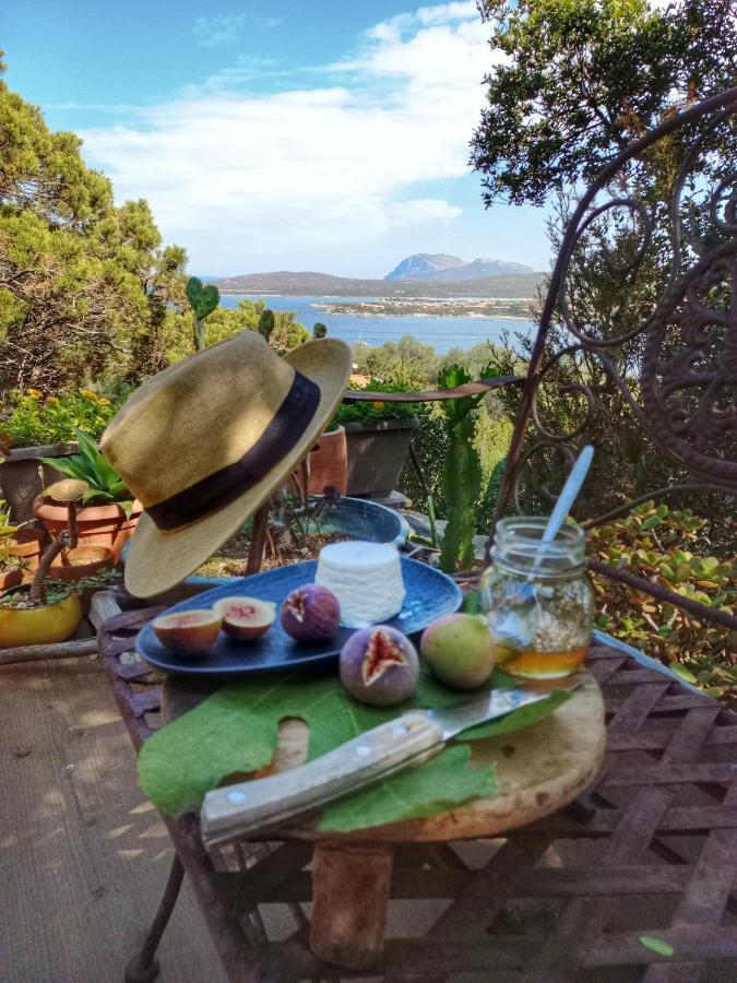 Villa Khepri Porto Rotondo Exteriér fotografie