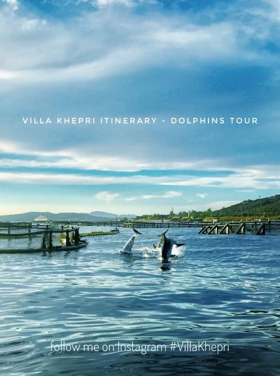 Villa Khepri Porto Rotondo Exteriér fotografie
